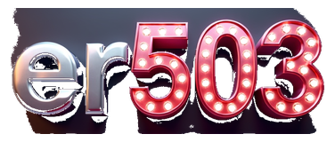 er503 logo